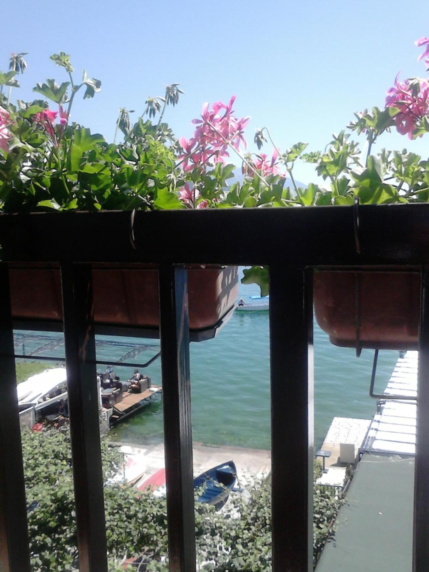 Orhidea House Hotell Ohrid Eksteriør bilde